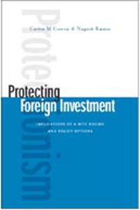 Protecting Foreign Investment