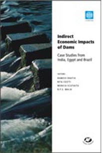 Indirect Economic Impacts of Dams