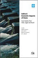 Indirect Economic Impacts of Dams
