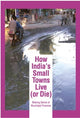 How India's Small Towns Live (or Die)
