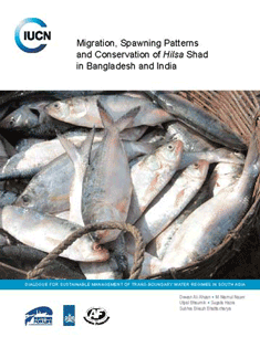Migration, Spawning Patterns and Conservation of Hilsa Shad in Bangladesh and India