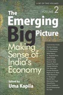 The Emerging Big Picture
