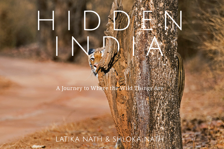 Hidden India