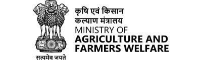 logo 9