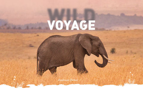 Wild Voyage