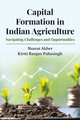 Capital Formation in Indian Agriculture
